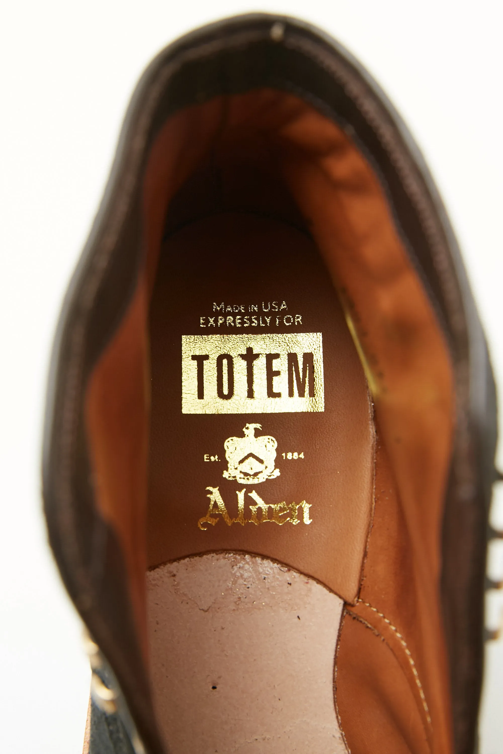 Alden x Totem EXCLUSIVE "The Lombard" Indy Boot - Reverse Earth Chamois