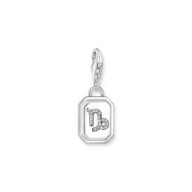 Capricorn Zodiac sign silver charm Pendant