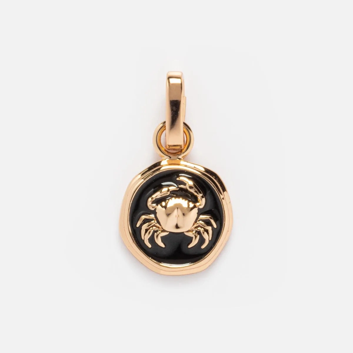 Enamel Zodiac Charm