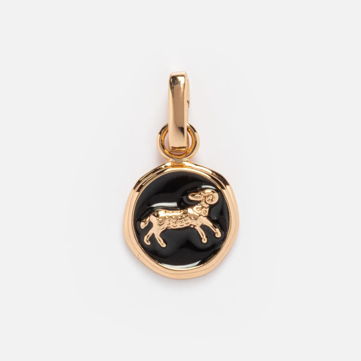 Enamel Zodiac Charm