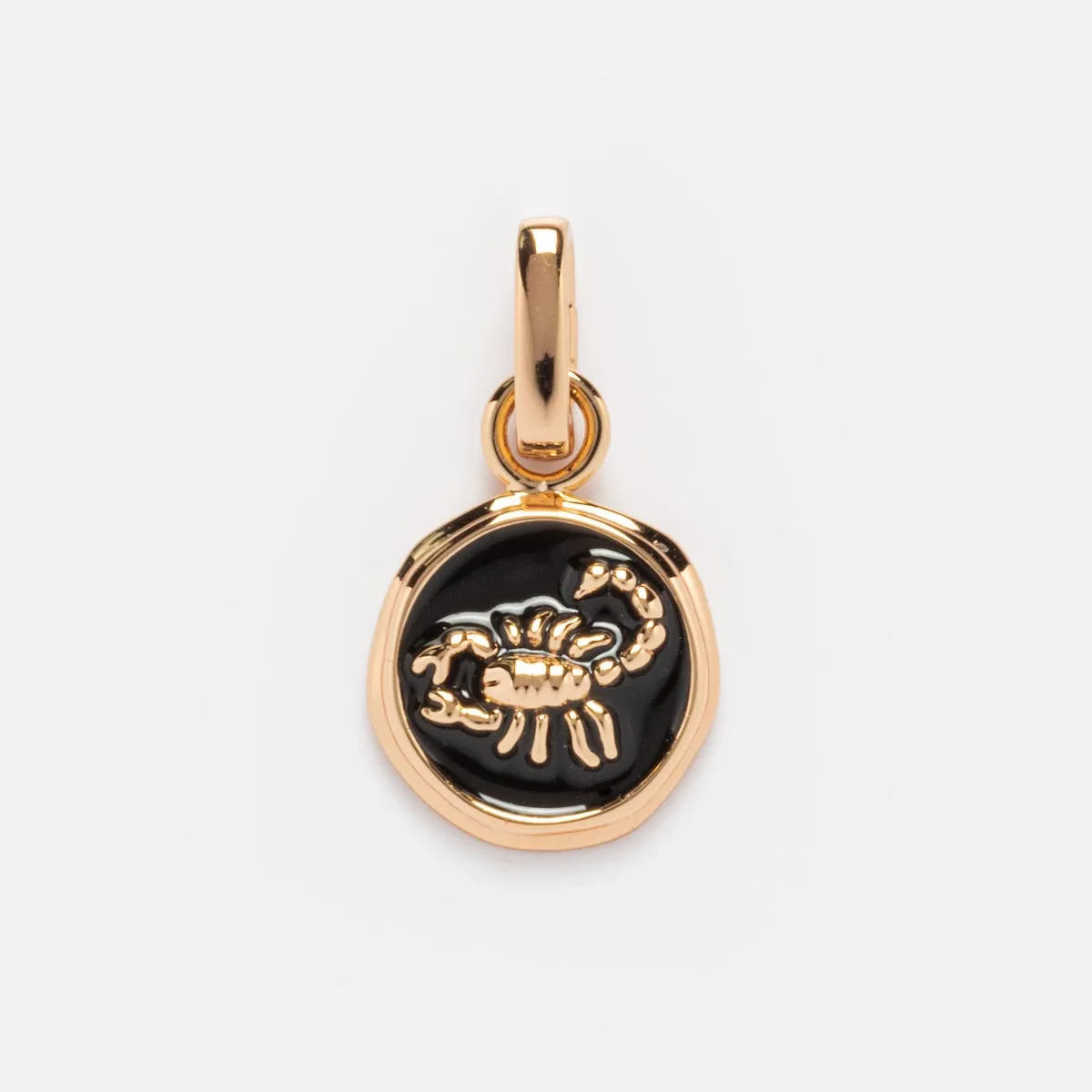 Enamel Zodiac Charm