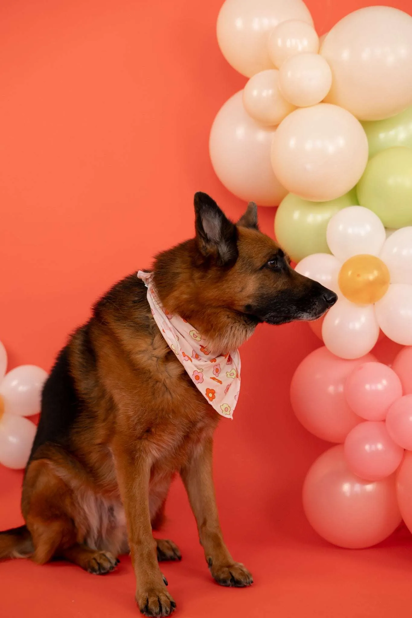 Feel'n Flowerful Dream Dog Bandana